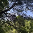 엄둔밸리 | 영월계곡펜션 영월캠핑장 엄둔밸리 카라반 후기