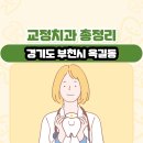 드림탑치과 | 경기도 부천시 옥길동 교정치과 총정리