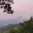 구학산농장 네이버블로그
