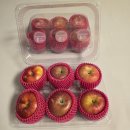 오늘의 마이핏 | [마이핏사과] 후기 | 쌍둥이맘의 찐 솔직 리뷰 (feat. 사과취향고르기 장단점)