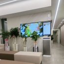 서문연합의원 이미지