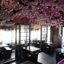 이찌방이야기 이미지