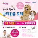대구반려동물산업협동조합 함개하자냥 이미지