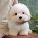 연제구-045 이미지