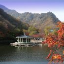 전북정읍 내장산 산행 (2004.11.13) 부부산행 이미지