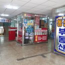 금터공인중개사 이미지