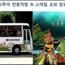압사라쇼앙코르식당 이미지