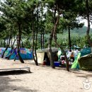 상록해수욕장 Daum카페