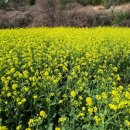 남해-239 이미지