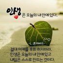 바쁜세상(그래도천천히 가요🦋) 이미지