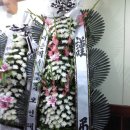 봉암동263 이미지