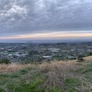 삼일수산식당 이미지