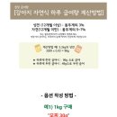 와글팝 네이버블로그