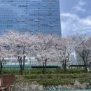 슬로우앤티