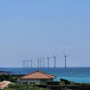 바다부동산중개 이미지