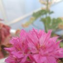 박경자농장 이미지