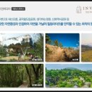 대정농협무릉지점하나로마트 네이버블로그