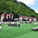 펫아일랜드 이미지