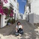 엑스크로스넷 | [2023스페인] 세비야 Record go 렌터카 후기/자하라 데 라 시에라/세비야에서 론다/세테닐/세비야 근교...