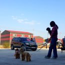 순천-08호 이미지