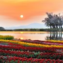 봄이오네 이미지