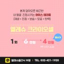 디자인홍조