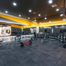 아인스 휘트니스 이미지