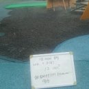 성남어린이공원 이미지