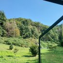 카페만디 이미지