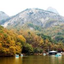 마이산 카페 토박이 이미지