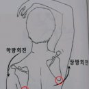 머슬제이 이미지