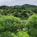 구재봉자연휴양림 이미지