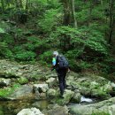 개인약수 이미지