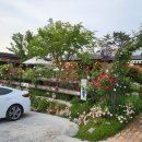 세렌의정원 이미지