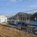 농암로(예안면) 이미지