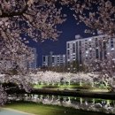 명동쫄면 이미지