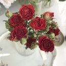 베스트드라이 이미지