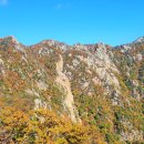 10월 9일 금요무박 -＜블랙야크100/블랙야크100+/국립공원＞- 설악산+단풍 신청안내(28인승/31인승) 이미지