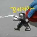 셀세모 대구점 | '까만 쎄미의' How To 벌레 없애는 세차 &amp; 첫 경험 * 폴리쉬엔젤 2013 카나우바 왁스 *