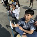 태권도 오송 정도장 이미지