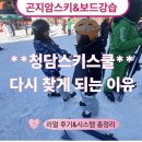 (주) 리얼스위밍스쿨 | 스키&amp;보드강습ㅡ초보부터 아이·가족이, 다시 찾게 되는 이유(청담스키스쿨 리얼 후기&amp;시스템 총정리)