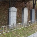 군내면 선정비군 Daum카페