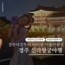 나드리투어 - 북구 칠곡중앙대로 551 | 경주야경투어 경주나드리 신라왕궁야행 월정교 아이랑 가볼만한 곳