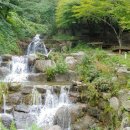 설매재자연휴양림 이미지