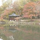 왕눈이 - 김해시 삼계중앙로 57 | 왕눈이