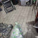 정일카센타 이미지