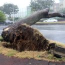 태풍센터근처 이미지