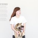 동물사랑애견샵 이미지