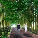 세원목장 이미지