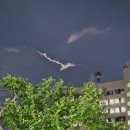 효은약국 | 2주동안 할 일을 하지 않고 그냥 놀았다고?